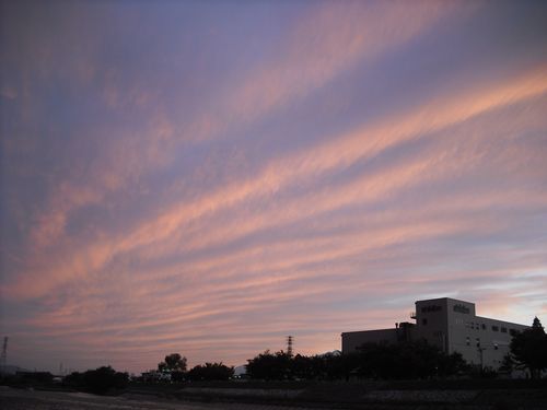 DSCF0075