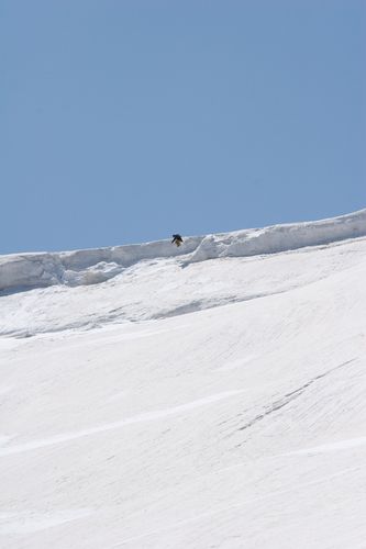 Rider:takumi    　　 Photo:kentaro shimizu
