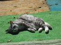 DSCF0039
