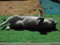 DSCF0043