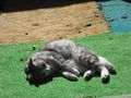 DSCF0038