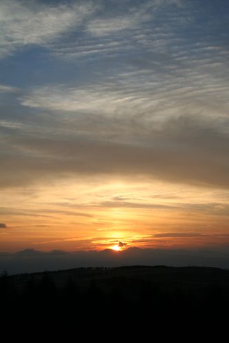 IMG_0770