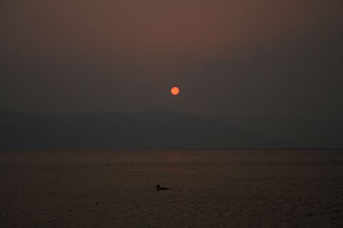 夕暮れ