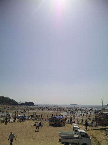 貝拾い　ＩＮ　蒲郡