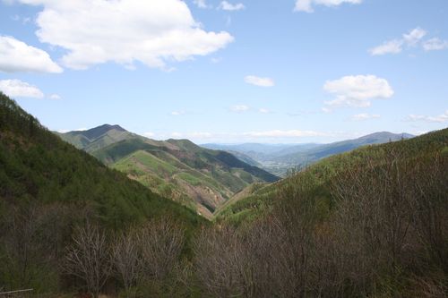 ゼロ磁場からの景色