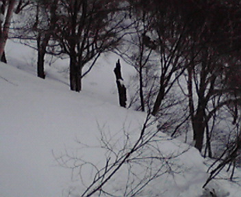 200801071130001.jpg