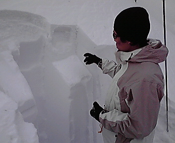 200801071301000.jpg