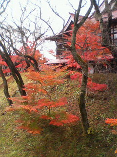 高遠城址公園２