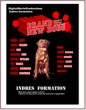BRAND　NEW　DOGS